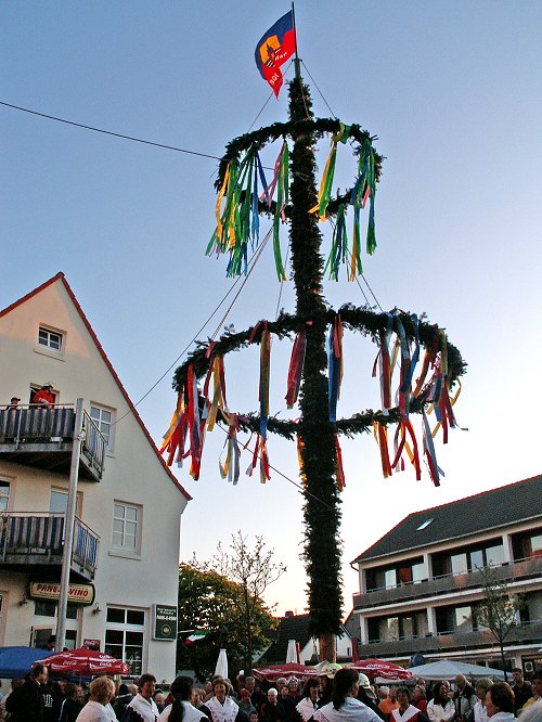 Maibaumaufstellung 2007