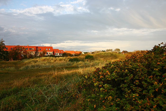 In den Siedlerstraßendünen