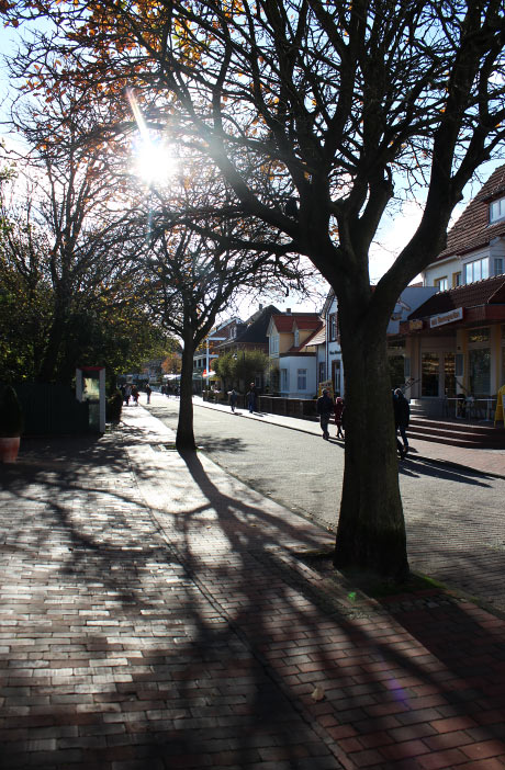 Mittlere Zedeliusstraße im Herbst