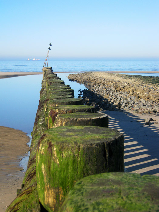 Pfahlbuhne bei Niedrigwasser