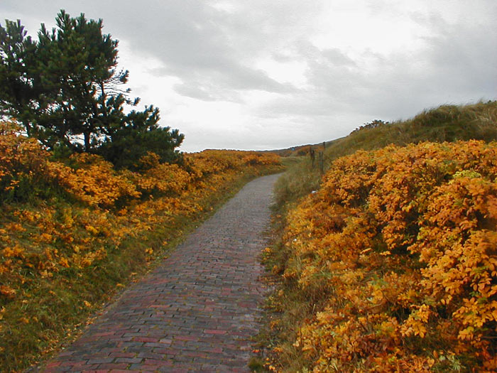 Auf dem Fußweg zum Westen