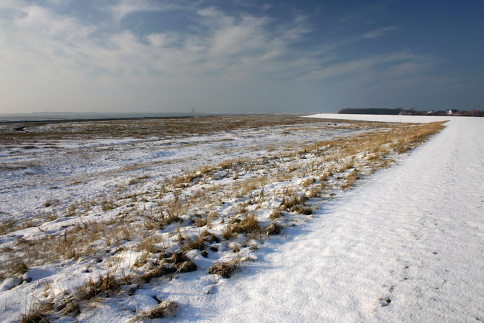 Winterstimmung in den Salzwiesen