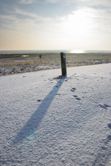 Schnee auf dem Ostgrodendeich