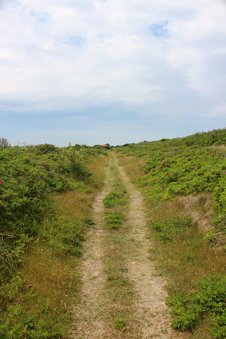 Dünenweg