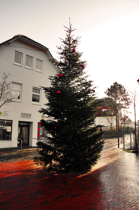 Weihnachtsbaum auf dem Appellplatz