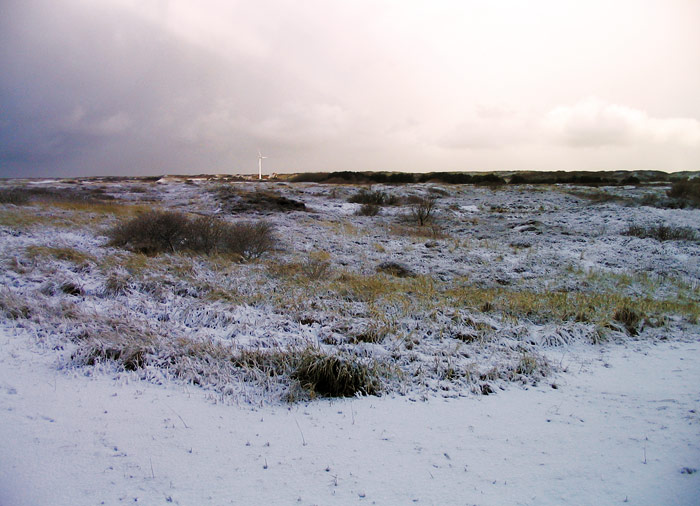 Angezuckerte Heidedünen