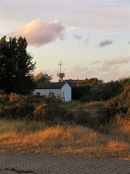 Abendlicher Erlengrund