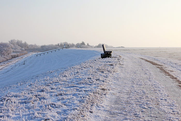 Dorfgrodendeich im Winter