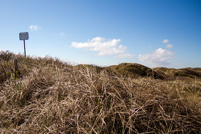 Nordostdünen im Frühjahr