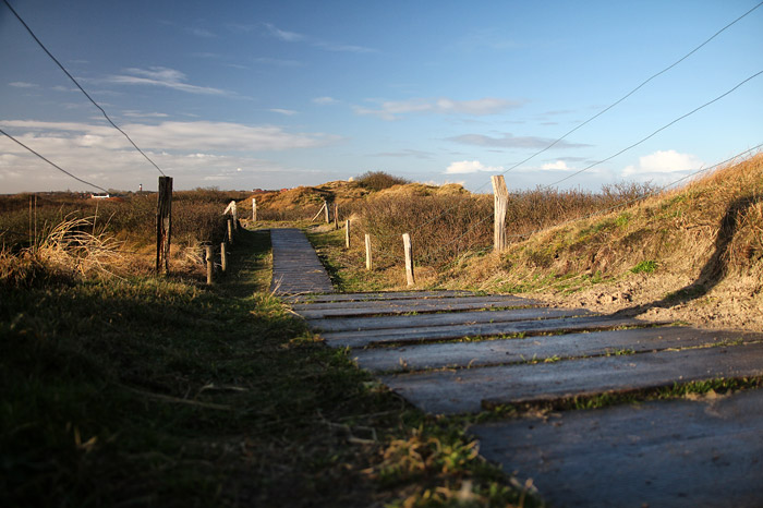 Holzsteg in den Ostdünen