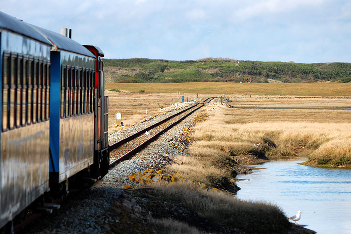 Bahnfahrt durch die Salzwiesen