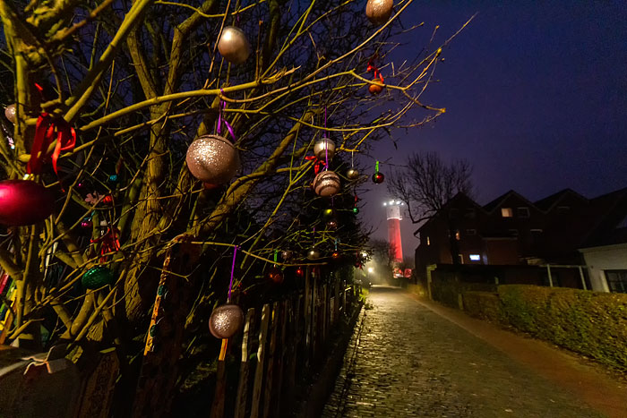 Weihnachtliche Robbenstraße