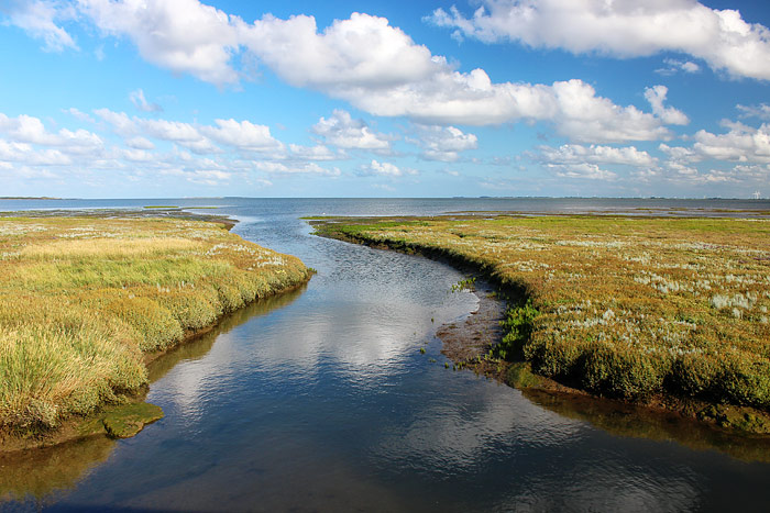 Priel im Westaußengroden