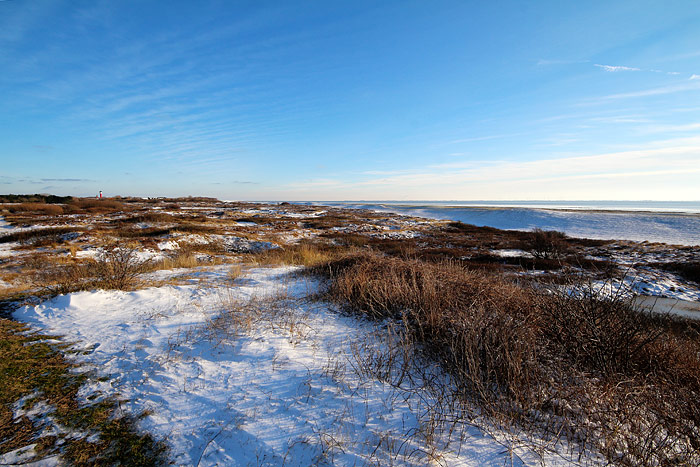 Braundünen und Süddeich