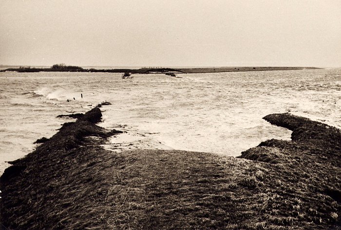 Sturmflut 1962. Bruchstelle am Dorfgrodendeich