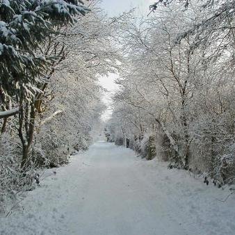 Schneestra&szlig;e. Foto &copy; Georg Kohl 2009