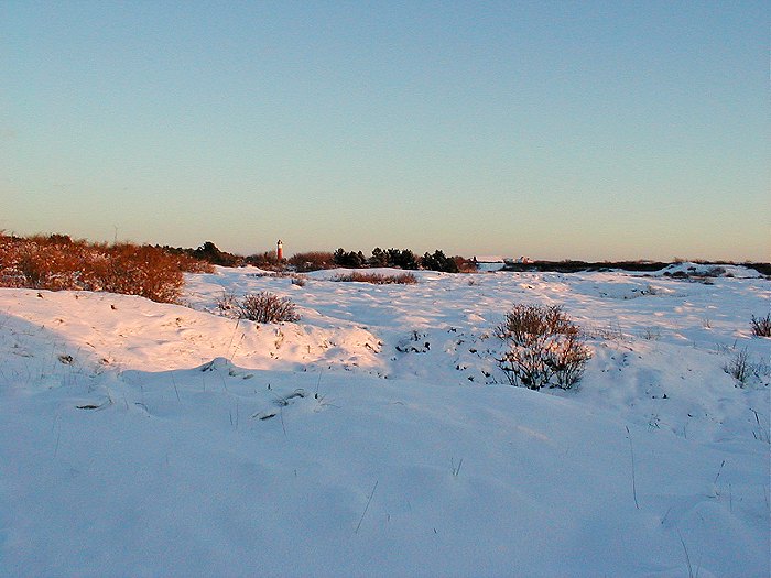 Heided&uuml;nen im Schnee