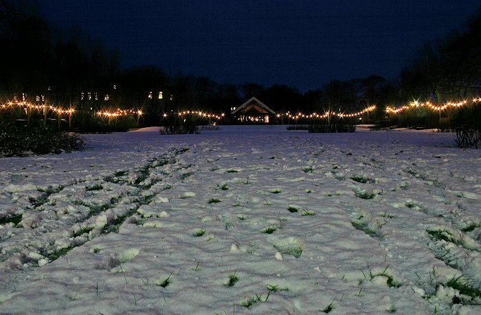 Rosengarten bei Nacht