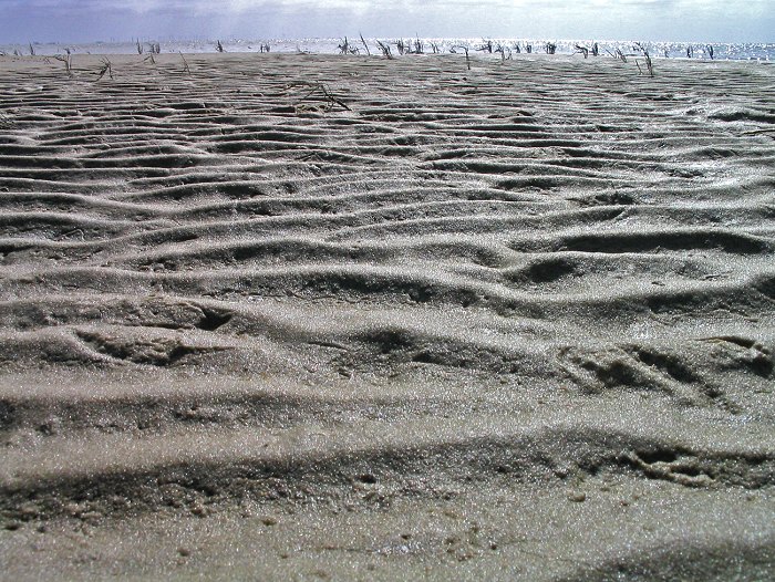 Rippel im Wattboden