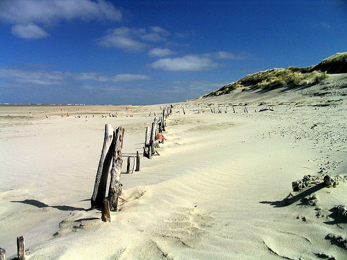 Reste von Buschzäunen