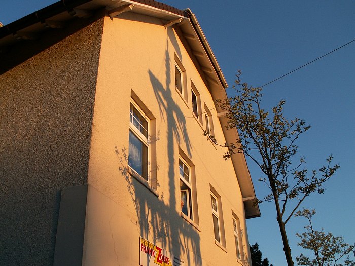 Maibaumaufstellung 2007