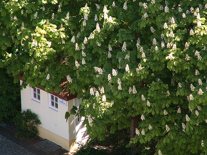 Altes Wiegeh&auml;uschen