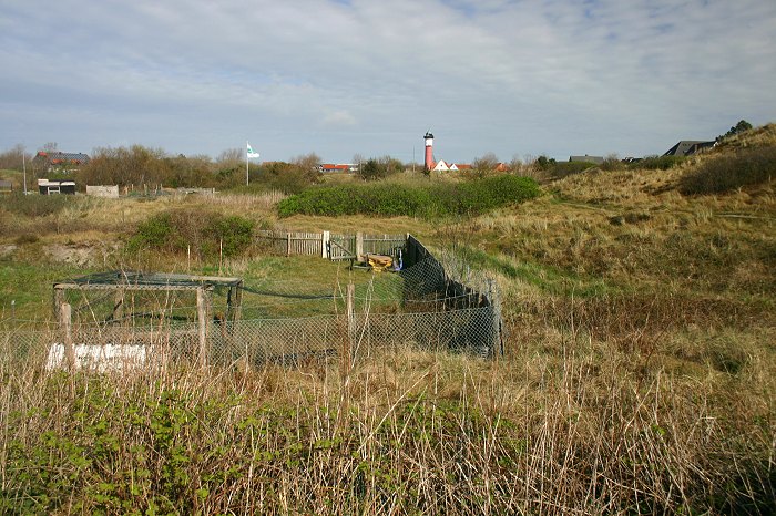 Erlengrund im Fr&uuml;hjahr