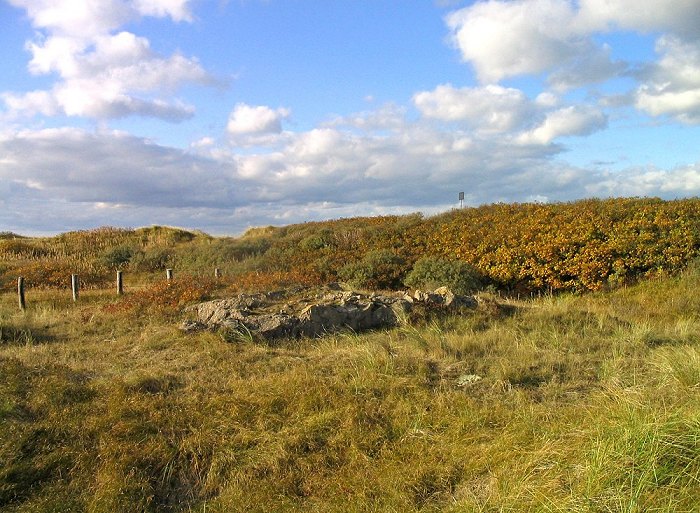Bunkerreste in den D&uuml;nen