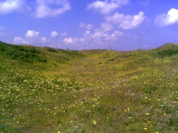 D&uuml;nental im Osten