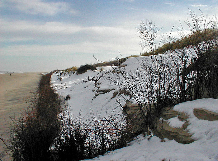 D&uuml;nen und Strand im Winter