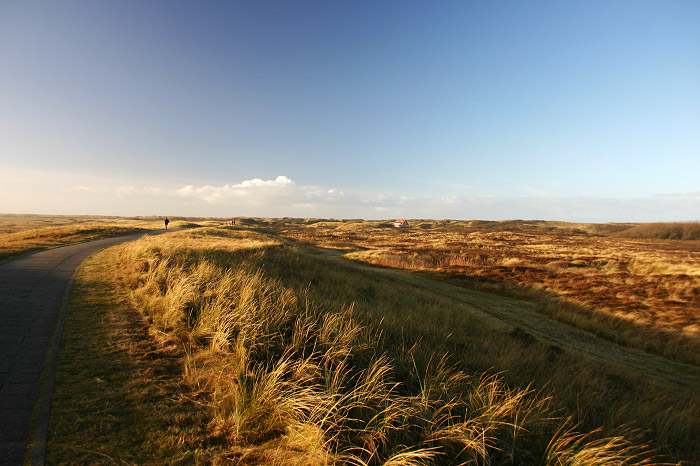 D&uuml;nendeich s&uuml;dlich der Eiskuhlen