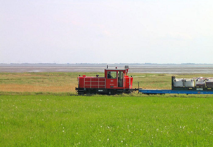 Güterzug kurz vorm Deichschart
