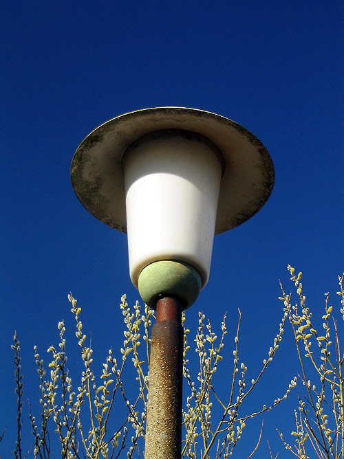 Stra&szlig;enlaterne und Weidenk&auml;tzchen