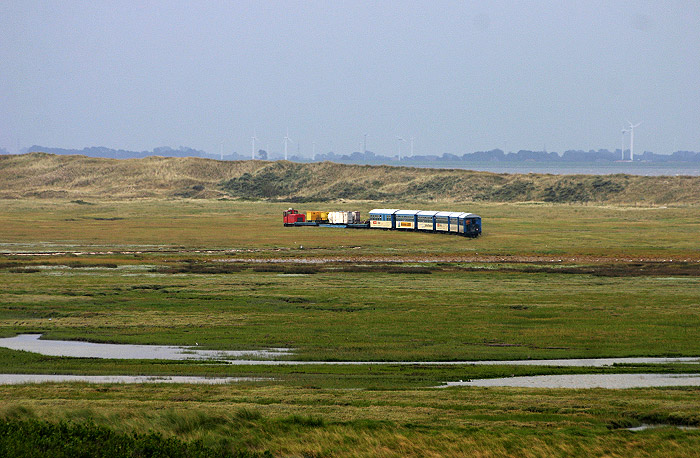 Inselbahn vor den Harle H&ouml;rn-D&uuml;nen