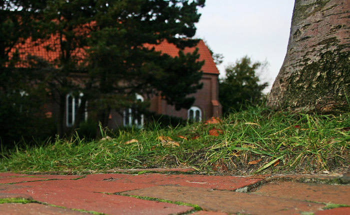 &raquo;Verkehrsinsel&laquo; vor der Nikolaikirche
