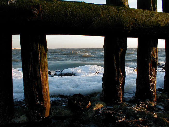 Pf&auml;hle auf der Buhne V