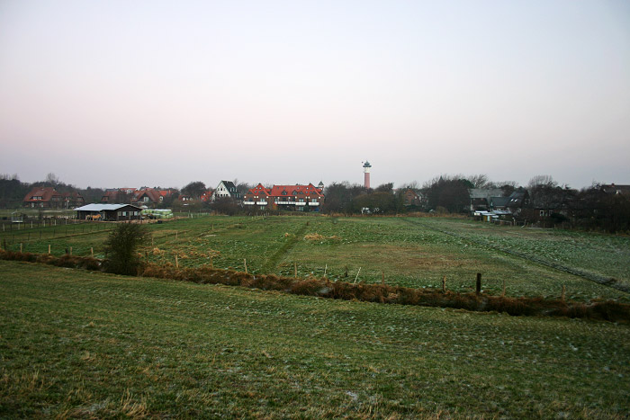 Reif auf den Pferdeweiden im Dorfgroden