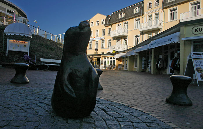 Seehund vor dem Pudding