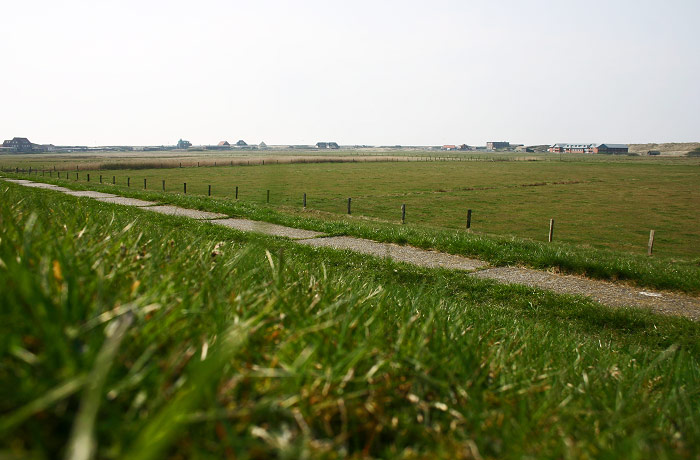 Westdorf vom Deich aus gesehen