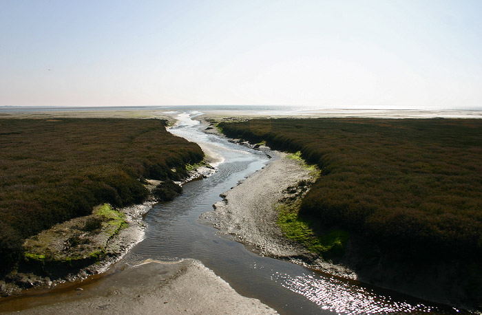 Salzwiesen mit Priel
