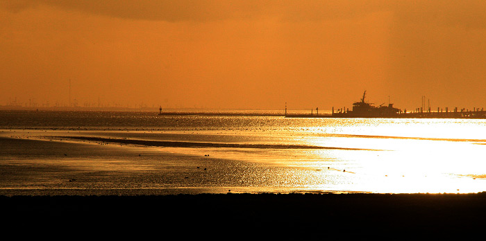 Westanleger im Gegenlicht