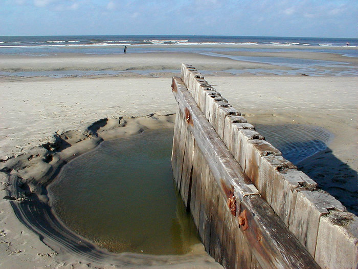 Pfahlbuhne T in ursprünglichem Zustand