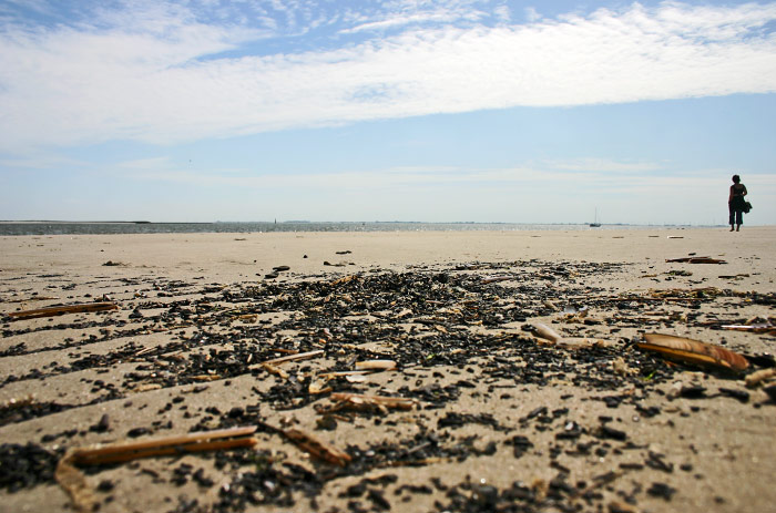 Bernsteinschwarz am Osteert