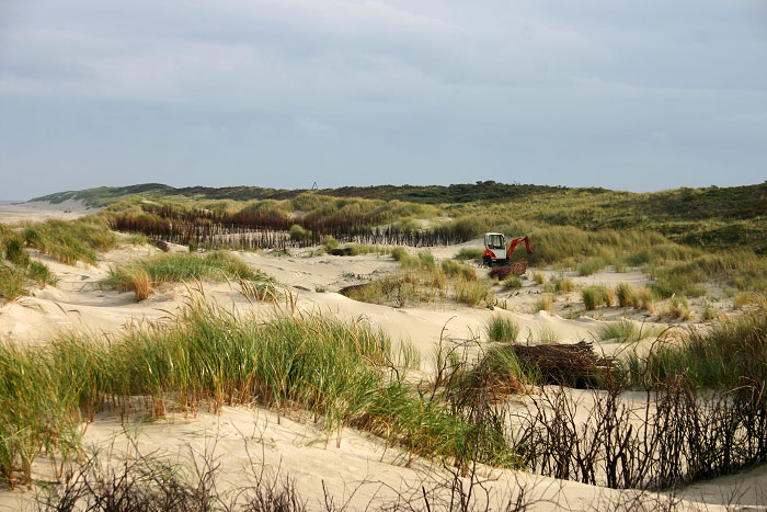 Minibagger in den D&uuml;nen