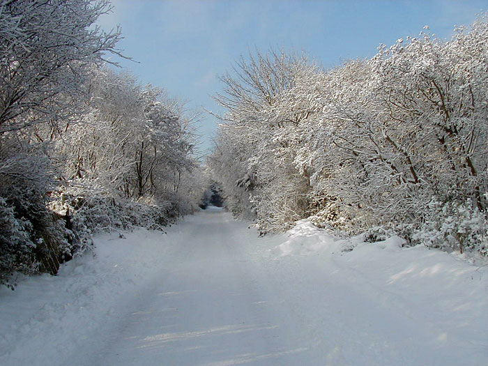Winterstimmung in der Westenstra&szlig;e