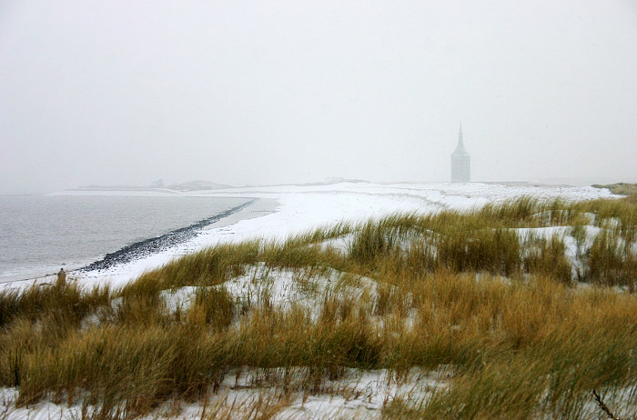 Harle H&ouml;rn-D&uuml;nen im Schnee