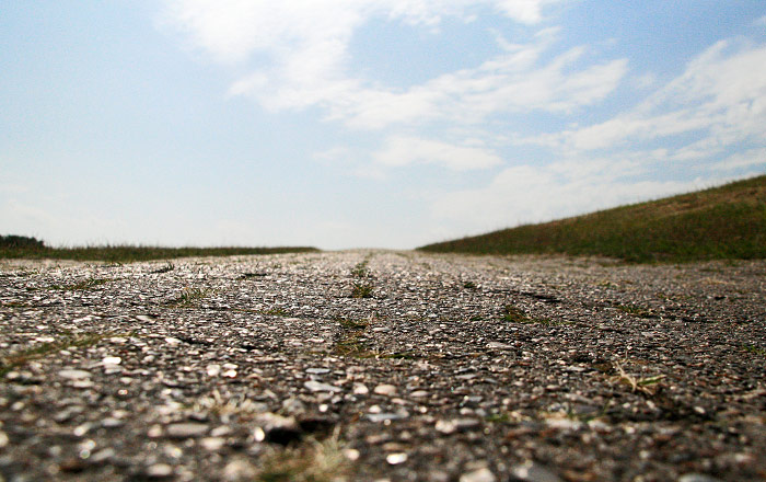 Deich aus der Froschperspektive