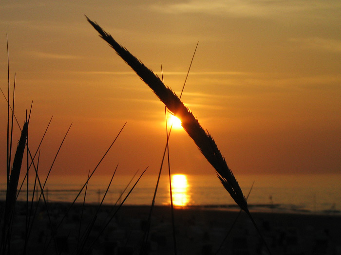 Sonnenuntergang an der Nordseek&uuml;ste