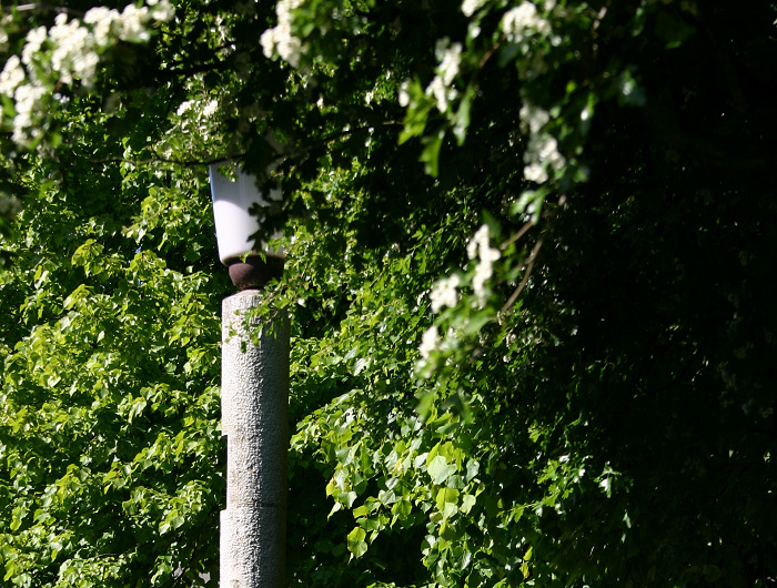 Stra&szlig;enlaterne im Dorfplatz