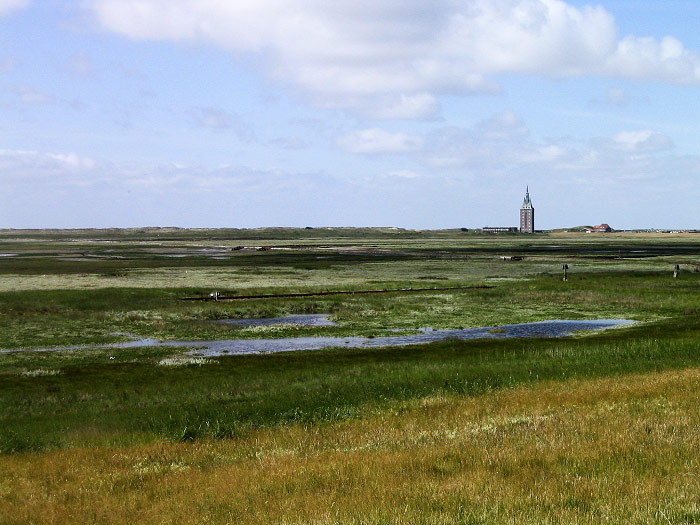 Deichvorland mit Aalkuhlen und Bahnlinie